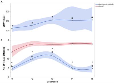 Flexibility in the ambrosia symbiosis of Xyleborus bispinatus